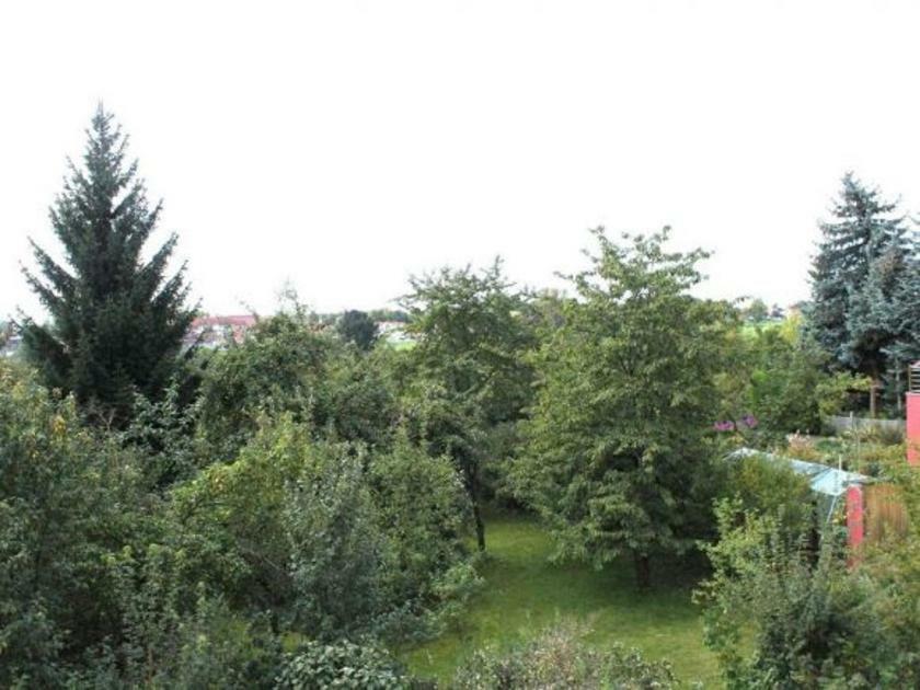 Exklusive Ferienwohnung An Der Elbe Dresden Ngoại thất bức ảnh